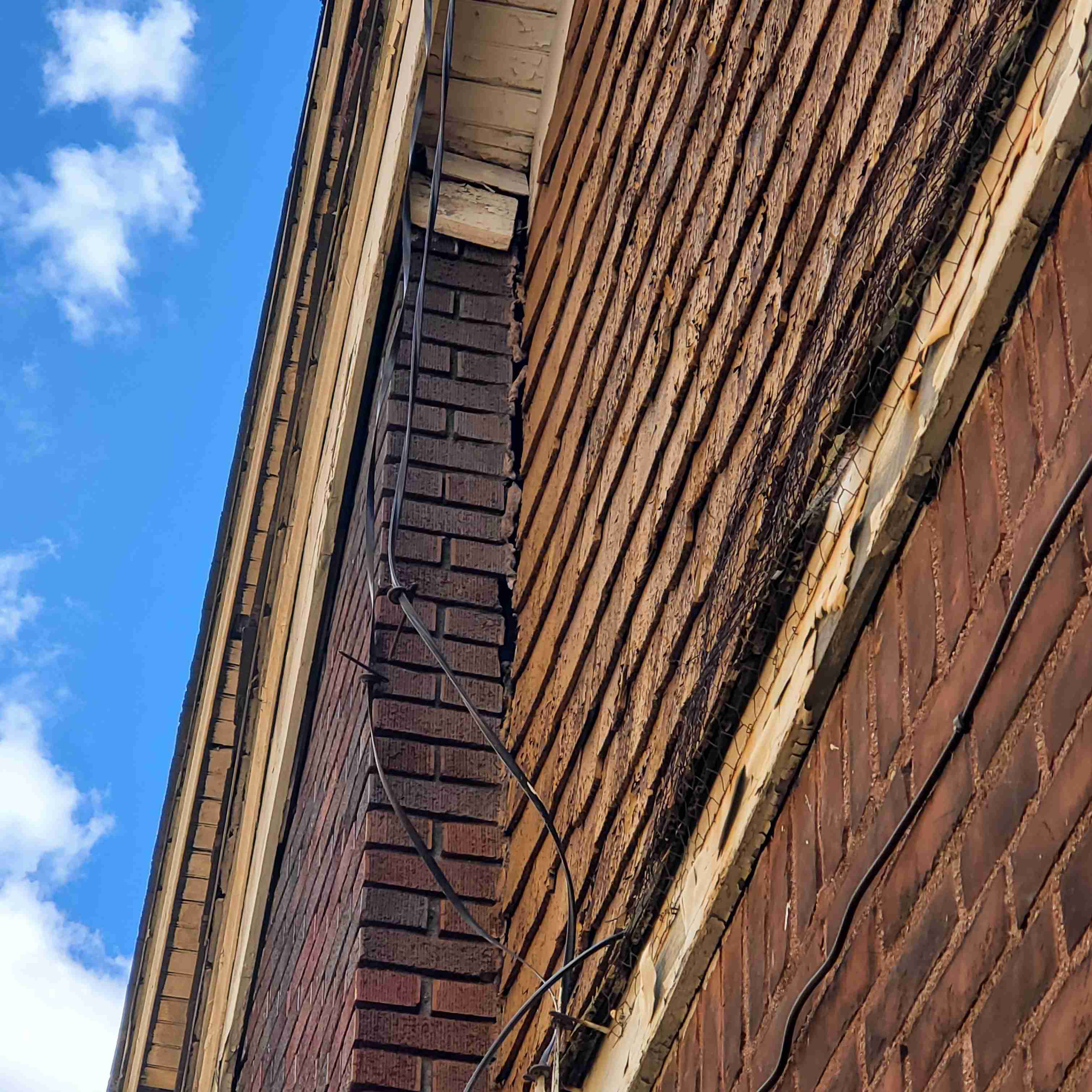 20200819_142723 (2).jpg